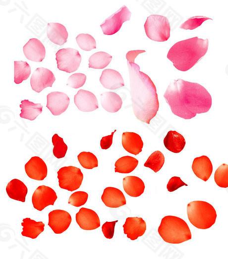 赢赢顺配资 科创板规则酝酿修改，“硬科技”再被强调，IPO撤回潮原因有哪些