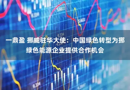 一鼎盈 挪威驻华大使：中国绿色转型为挪绿色能源企业提供合作机会